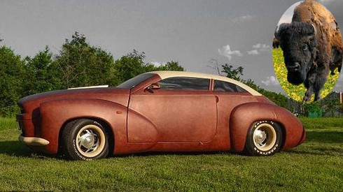 Xế lạ bọc da bò rừng Bizon có giá