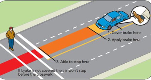 Đạp phanh xe ô tô sao cho an toàn? - ảnh 2
