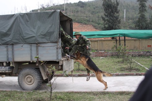 Chùm ảnh đặc biệt lính biên phòng tuần tra làm nhiệm vụ - ảnh 3