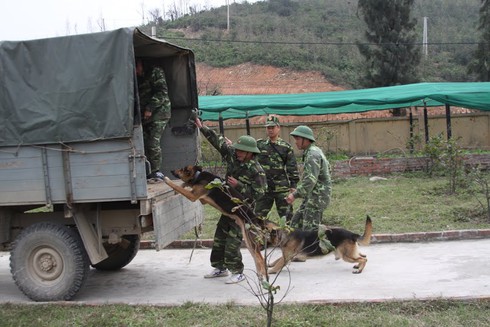 Chùm ảnh đặc biệt lính biên phòng tuần tra làm nhiệm vụ - ảnh 4