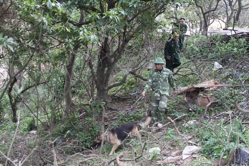 Chùm ảnh đặc biệt lính biên phòng tuần tra làm nhiệm vụ - ảnh 5