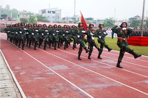 Diễu binh, diễu hành kỷ niệm 60 năm chiến thắng Điện Biên Phủ - ảnh 11