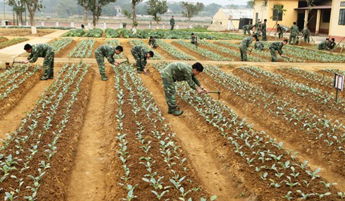 Xem bộ đội Hà Nội tập thể thao trên thiết bị hiện đại - ảnh 9