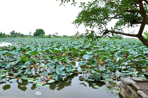 Làng Cựu nơi “giấu” những ngôi biệt thự cổ ở Hà Nội - ảnh 2