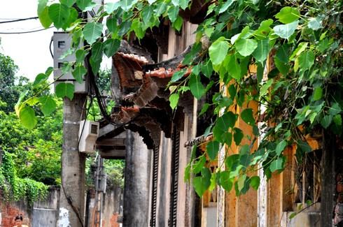 Làng Cựu nơi “giấu” những ngôi biệt thự cổ ở Hà Nội - ảnh 9
