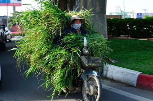 Ống kính nước ngoài kinh ngạc với xe quá tải, quá khổ ở Việt Nam - ảnh 19