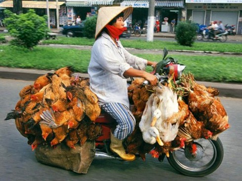 Ống kính nước ngoài kinh ngạc với xe quá tải, quá khổ ở Việt Nam - ảnh 17