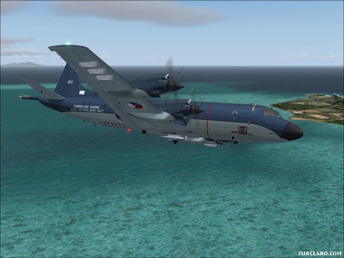 Khả năng tác chiến của máy bay trinh sát săn ngầm P-3C Orion - ảnh 9