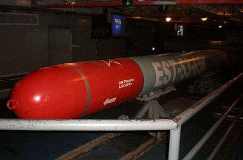 Điểm danh các loại ngư lôi trong kho vũ khí của Hải quân Việt Nam - ảnh 7