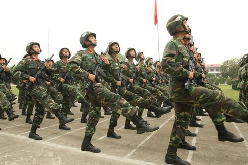Lực lượng Lục quân trong QĐND Việt Nam được tổ chức thế nào? - ảnh 2