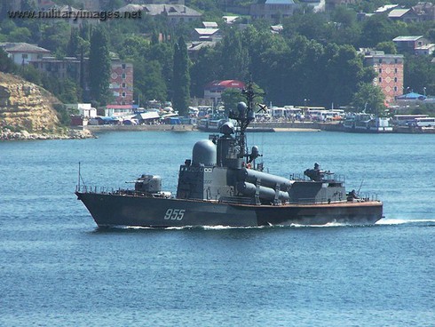 Hải quân VN sẽ có số tàu tên lửa Tarantul/Molniya đứng thứ 2 thế giới? - ảnh 1