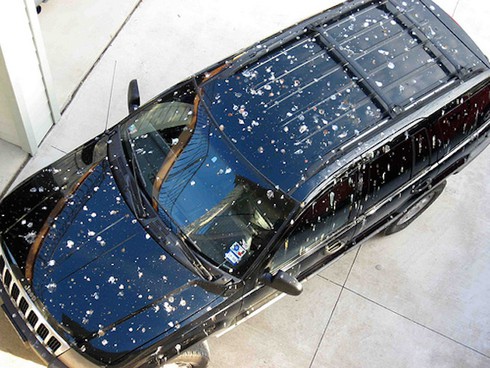 Phân chim có ảnh hưởng tới sơn xe không? - ảnh 1