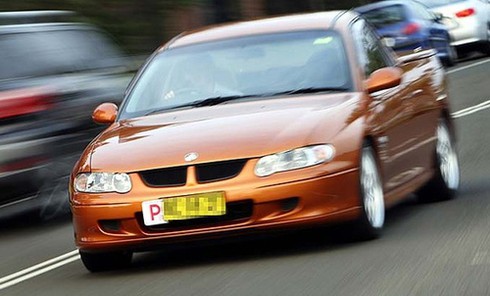 Người Việt ở nước ngoài nói gì về cấp GPLX số tự động? - ảnh 4