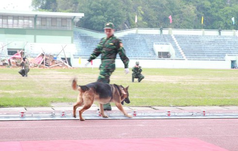 [Ảnh] Bộ đội Việt Nam biểu diễn võ thuật trước lực lượng biên phòng Trung Quốc - ảnh 8