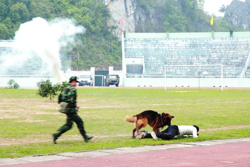 [Ảnh] Bộ đội Việt Nam biểu diễn võ thuật trước lực lượng biên phòng Trung Quốc - ảnh 9