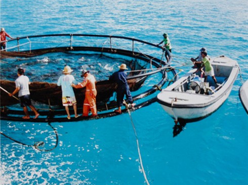 Thuyền trưởng 'Jack Sparrow' kể chuyện Trường Sa - ảnh 3