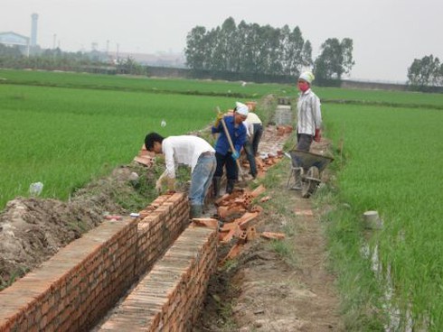 Hà Nội thành lập Văn phòng Điều phối nông thôn mới - ảnh 1