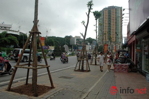 10 sự kiện “nóng” nhất 2015 do Infonet bình chọn - ảnh 10