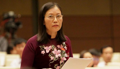 Quốc hội bầu Chủ tịch Hội đồng dân tộc và Chủ nhiệm một số Ủy ban - ảnh 1