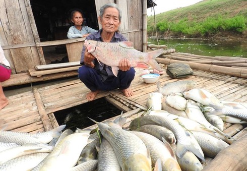 Phạt hơn 16 tỷ đồng vi phạm hành chính trong lĩnh vực môi trường - ảnh 1