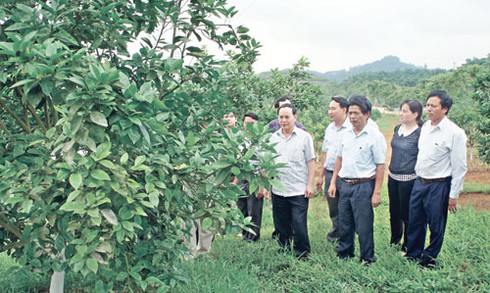 Sở Nông nghiệp có 8 Phó GĐ: Thủ tướng yêu cầu Thanh Hoá thực hiện đúng pháp luật - ảnh 1
