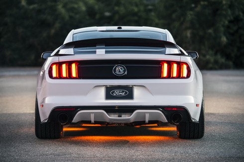 Khi người Mỹ bán xe ô tô ủng hộ chơi máy bay - ảnh 5