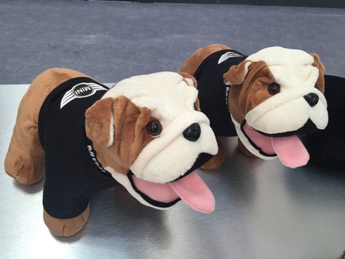 MINI ra mắt mẫu Convertible, tặng quà hiếm xe đạp MINI gấp - ảnh 4