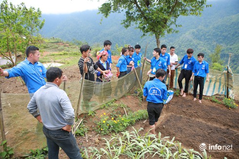 Sinh viên Học viện Nông nghiệp lên bản tư vấn đồng bào vùng cao sản xuất - ảnh 4