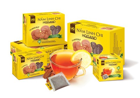 Người đam mê trồng nấm Linh chi sạch giữa Sài Gòn - ảnh 3