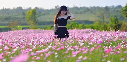 Bà chủ vườn hoa ở Đắk Lắk tiếc đứt ruột vì không biết Hồ Quang ...