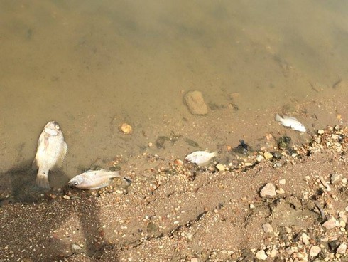 Hà Tĩnh cần làm gì để phát triển bền vững? - ảnh 1