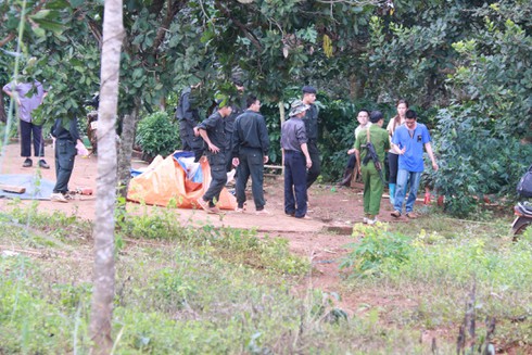 Đắk Nông: Vì sao bắt Phó giám đốc Cty Long Sơn? - ảnh 2