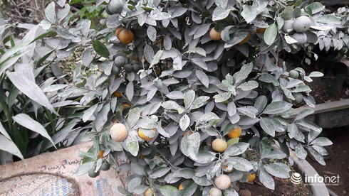 Quảng Bình: Hơn 100 hộ dân sống cạnh Nhà máy xi-măng Visem kêu cứu! - ảnh 10