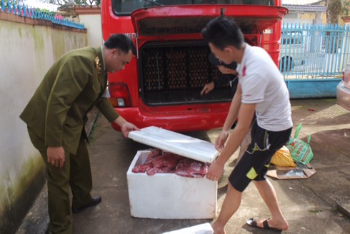 Đắk Lắk: Bắt gần 200 kg thịt hôi thối trên xe khách - ảnh 1