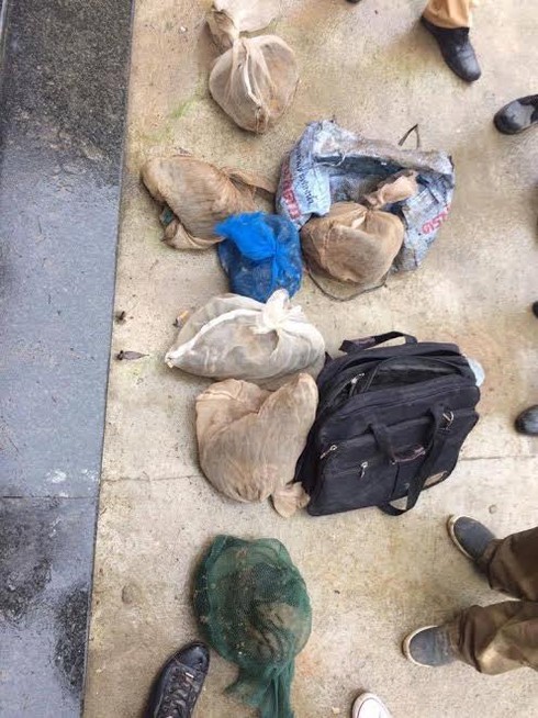 Bắt giữ 2 đối tượng vận chuyển pháo lậu liên tỉnh - ảnh 2