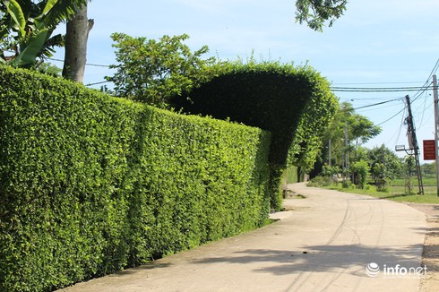 Ngẩn ngơ trước những cánh cổng