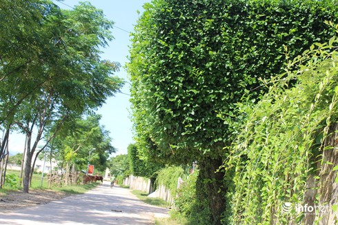 Ngẩn ngơ trước những cánh cổng