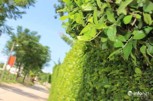 Ngẩn ngơ trước những cánh cổng