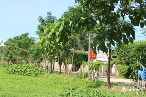 Ngẩn ngơ trước những cánh cổng