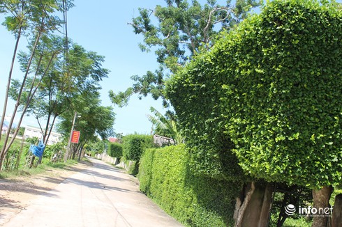 Ngẩn ngơ trước những cánh cổng