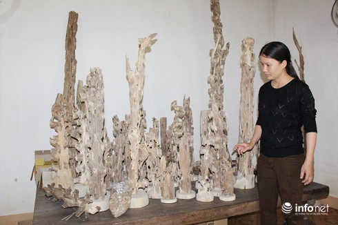 Chiêm ngưỡng dó trầm giá trăm triệu ở miền núi Hà Tĩnh - ảnh 1