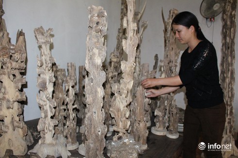 Chiêm ngưỡng dó trầm giá trăm triệu ở miền núi Hà Tĩnh - ảnh 5