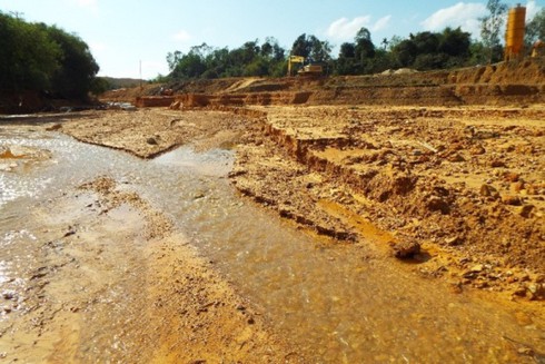 Hà Tĩnh: Vỡ đê đại dự án, nhiều héc-ta hoa màu bị chôn vùi dưới bùn - ảnh 1