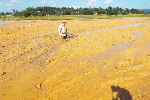 Hà Tĩnh: Vỡ đê đại dự án, nhiều héc-ta hoa màu bị chôn vùi dưới bùn - ảnh 3