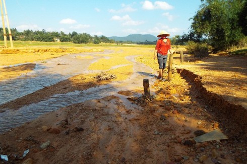 Hà Tĩnh: Vỡ đê đại dự án, nhiều héc-ta hoa màu bị chôn vùi dưới bùn - ảnh 4