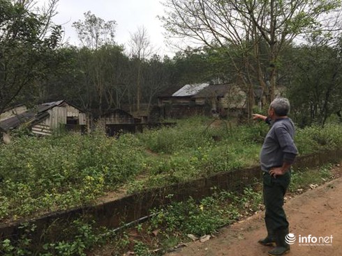 Chuyện về người thương binh “phá núi, bạt rừng” kiếm tiền tỉ mỗi năm - ảnh 1