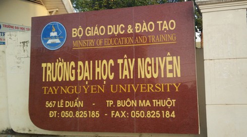 Bắt cán bộ Đại học Tây Nguyên đang say sưa trên chiếu bạc - ảnh 1