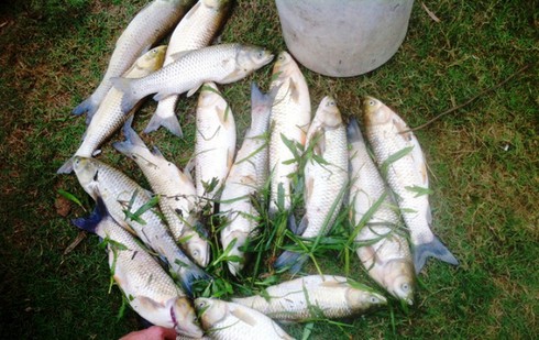 Hai Bộ vào cuộc kiểm tra vụ vỡ đập mỏ thiếc Suối Bắc - ảnh 3