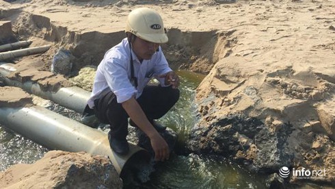 Hà Tĩnh: Một công ty đổ trộm tôm chết la liệt trên bờ biển - ảnh 4