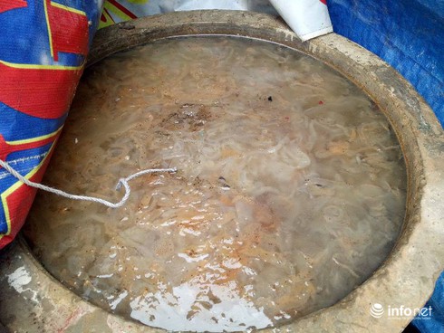 Hà Tĩnh: Gần 1.000 tấn sứa bốc mùi hôi thối nhưng chưa thể tiêu hủy - ảnh 2